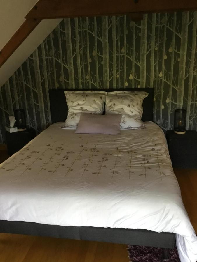 Chambre D Hote Janzé Exteriér fotografie